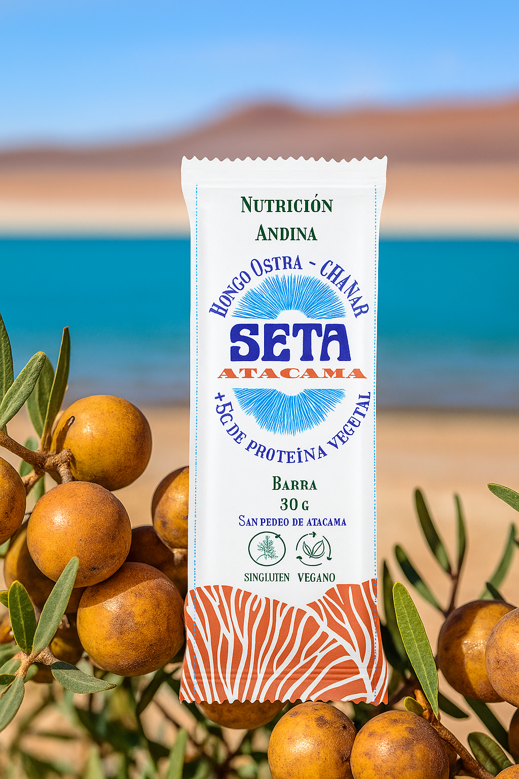 Barra Energética SETA ATACAMA HONGO OSTRA + CHAÑAR