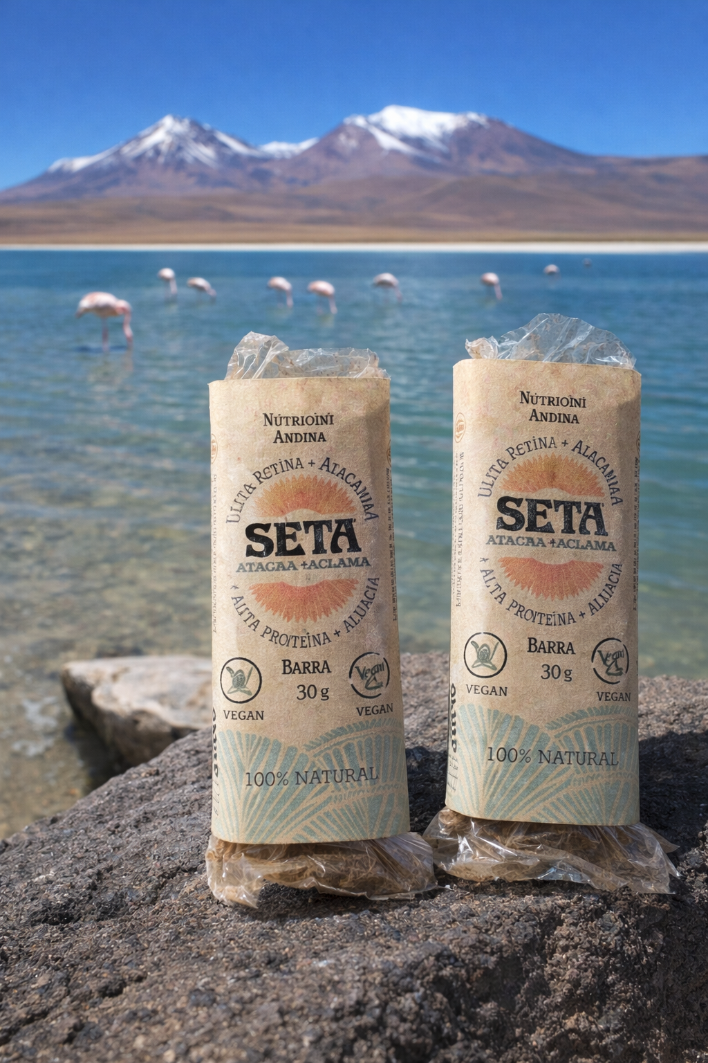 Barra Energética SETA ATACAMA OSTRA- ALGARROBO