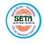 Barra Energética SETA ATACAMA OSTRA- ALGARROBO